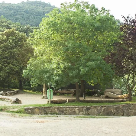 El Clar Del Bosc