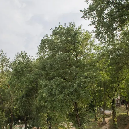 El Clar Del Bosc Hostel *