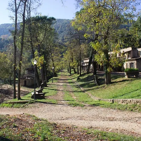 El Clar Del Bosc