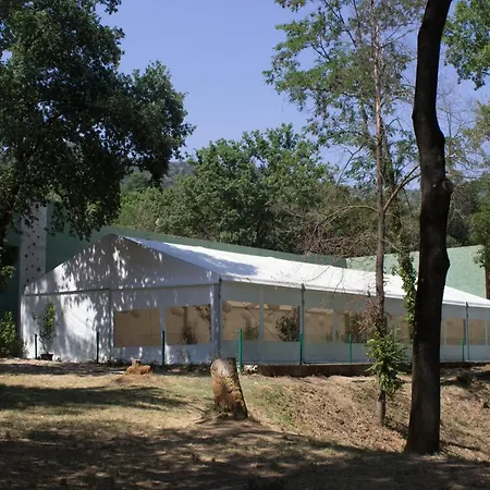 El Clar Del Bosc *