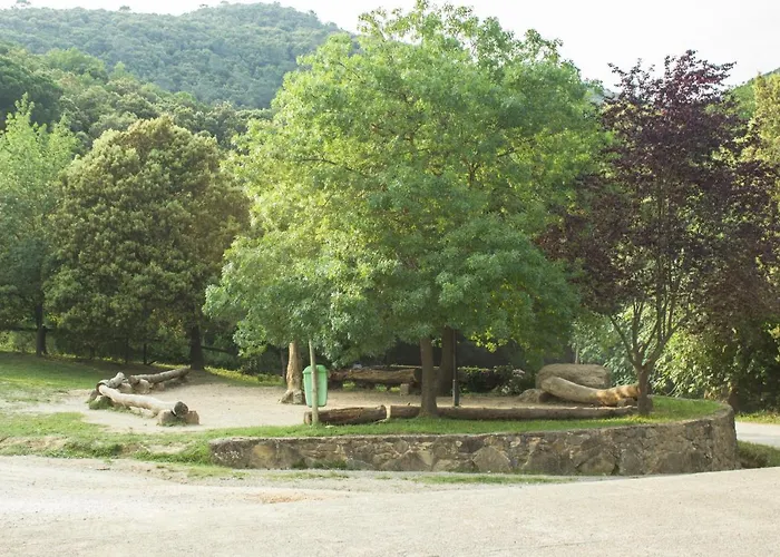 El Clar Del Bosc