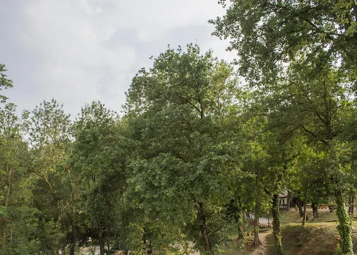 El Clar Del Bosc Hostel *