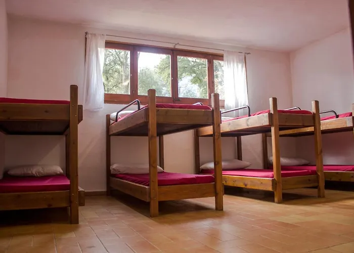 Hostel El Clar Del Bosc Pujarnol