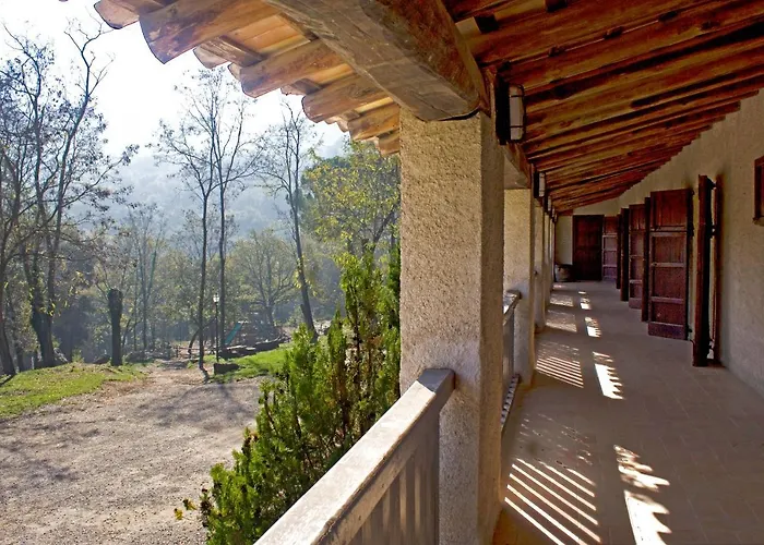 El Clar Del Bosc