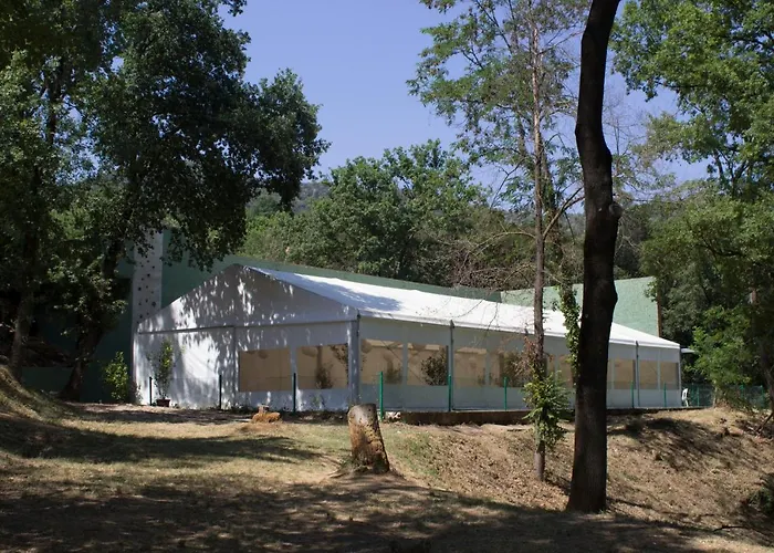 El Clar Del Bosc *