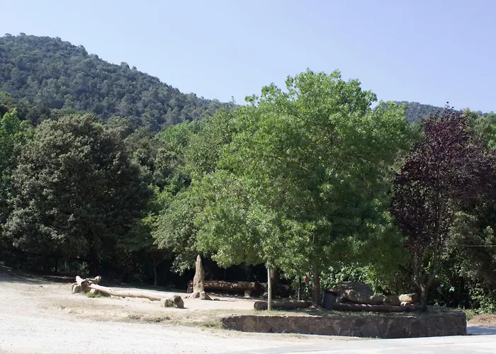 El Clar Del Bosc Pujarnol