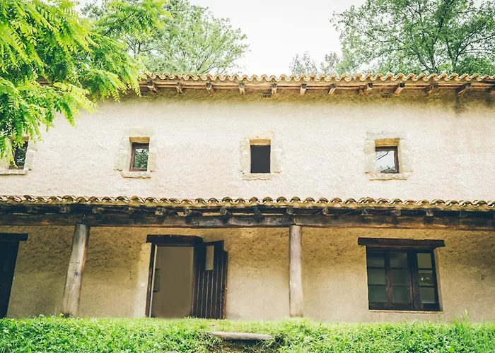 El Clar Del Bosc